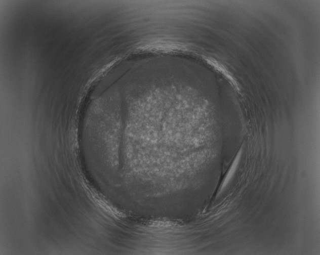 X0000082930399200702222225