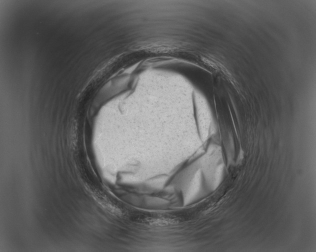 X0000082930400200702222225