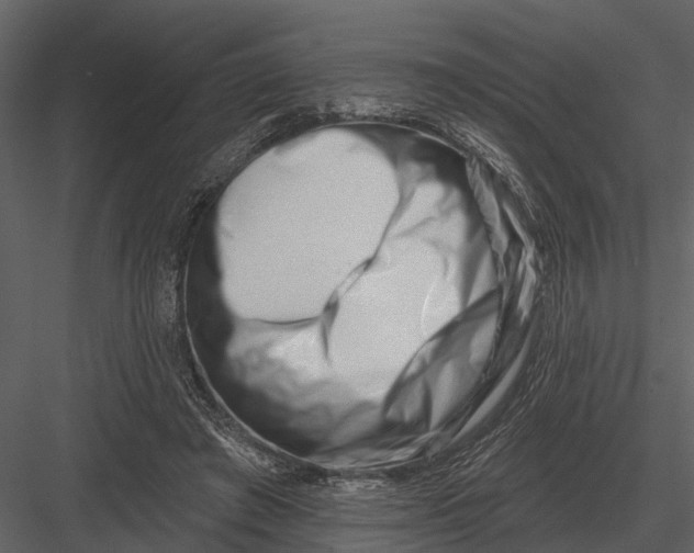 X0000082930401200702222225