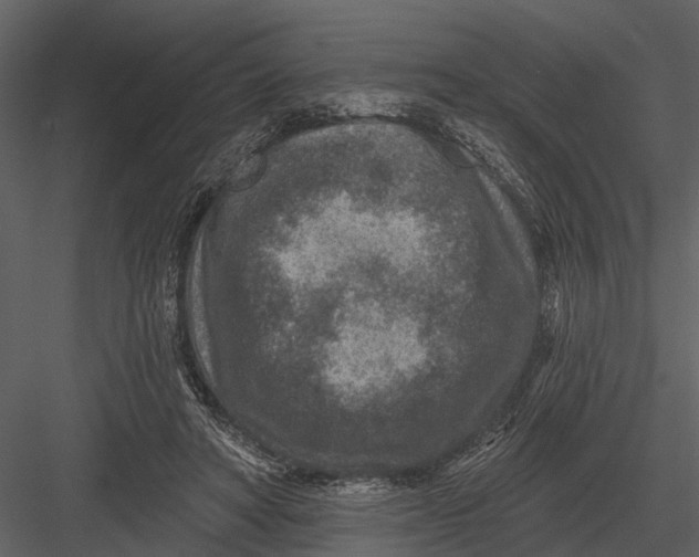 X0000082930402200702222225