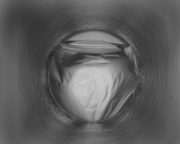 X0000082930403200702222225