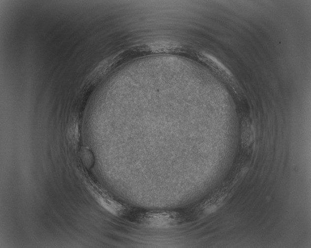 X0000082930405200702222225