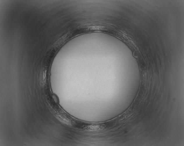 X0000082930406200702222225