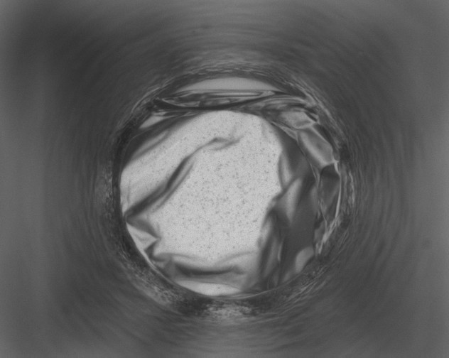 X0000082930407200702222225