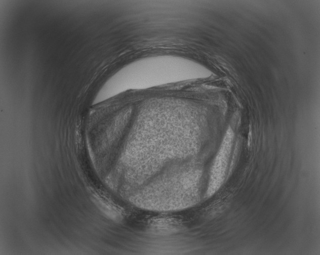 X0000082930408200702222225