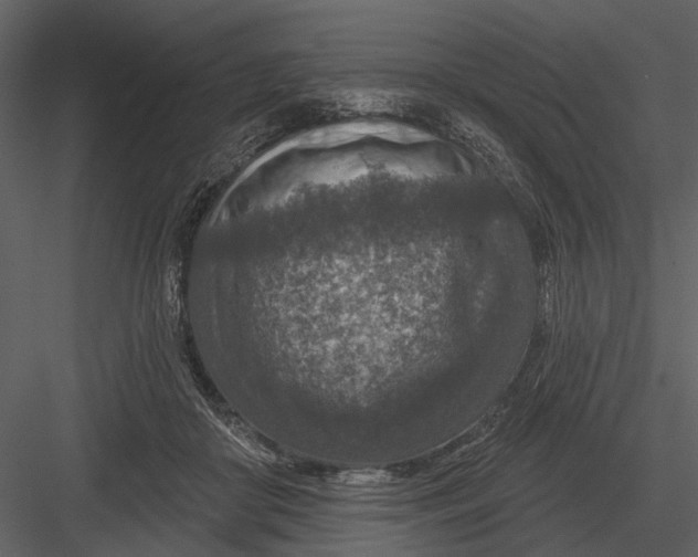 X0000082930410200702222225