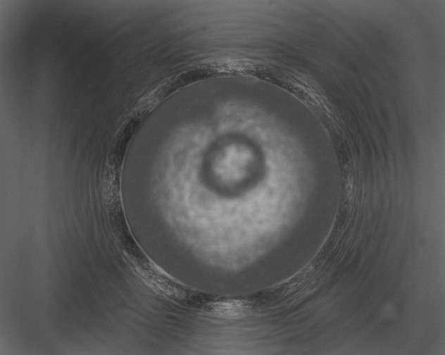 X0000082930411200702222225