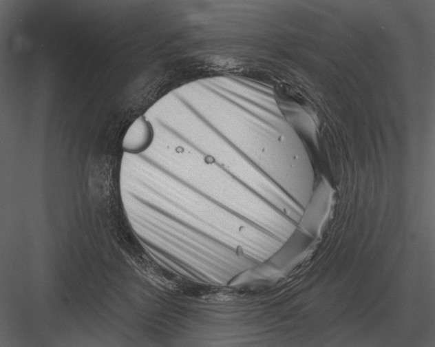 X0000082930412200702222225