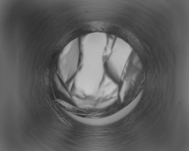 X0000082930413200702222225