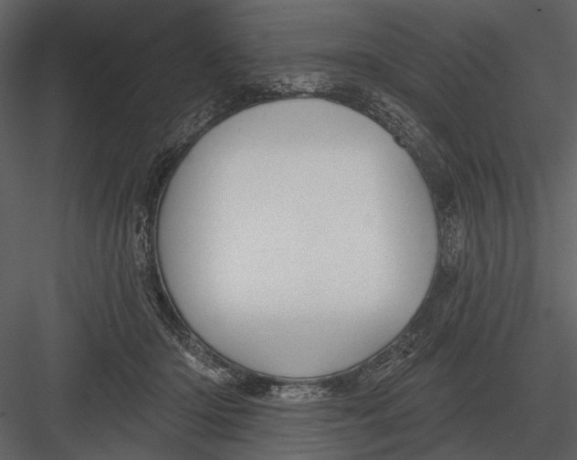 X0000082930414200702222225