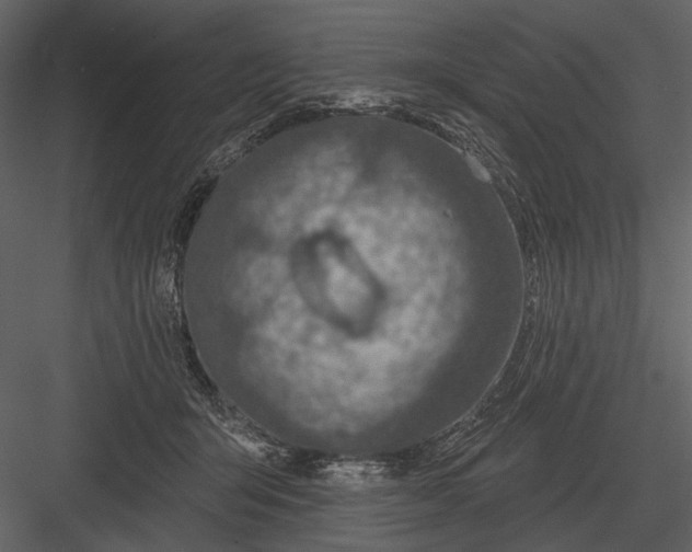 X0000082930415200702222225