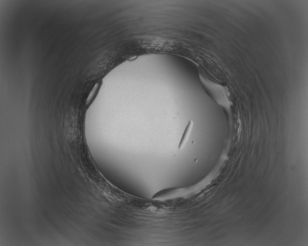 X0000082930416200702222225