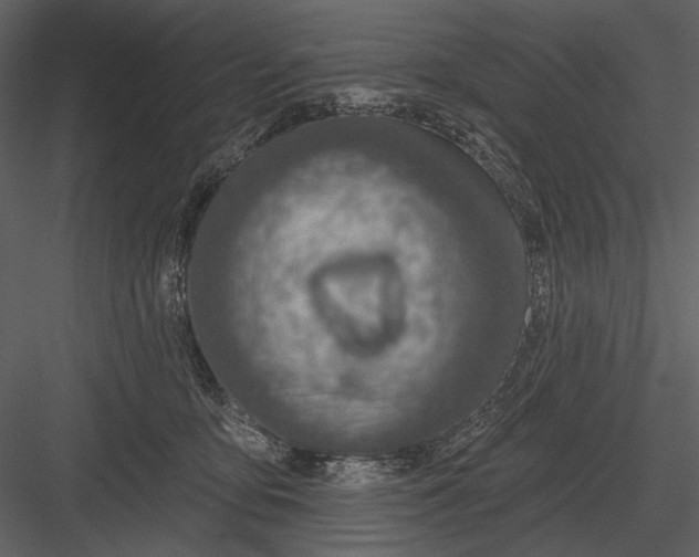 X0000082930419200702222225