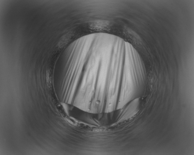 X0000082930420200702222225