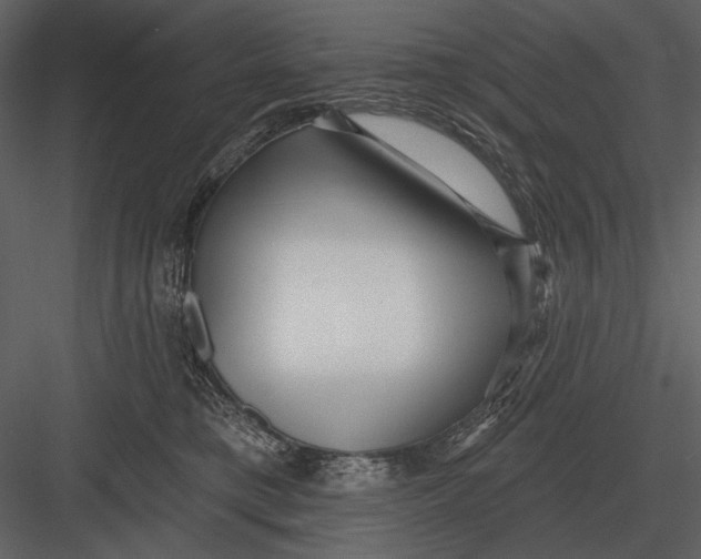 X0000082930421200702222224