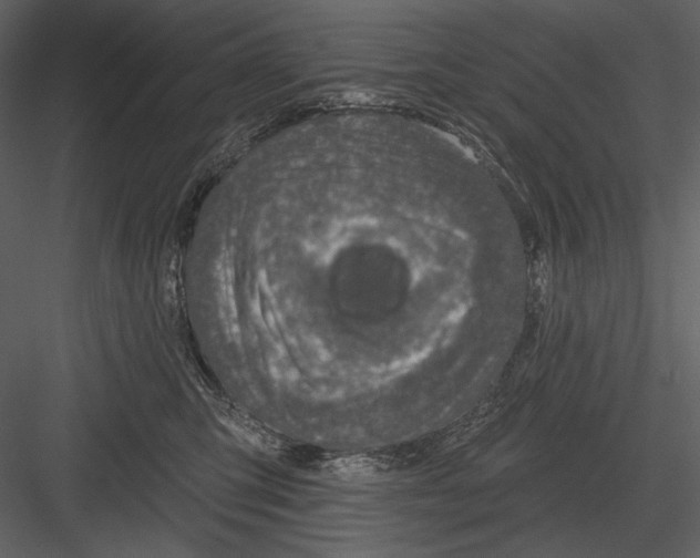 X0000082930423200702222224