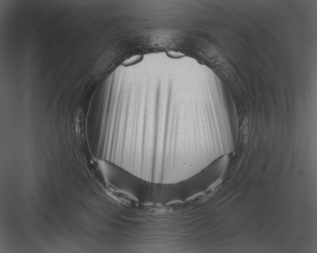 X0000082930424200702222224