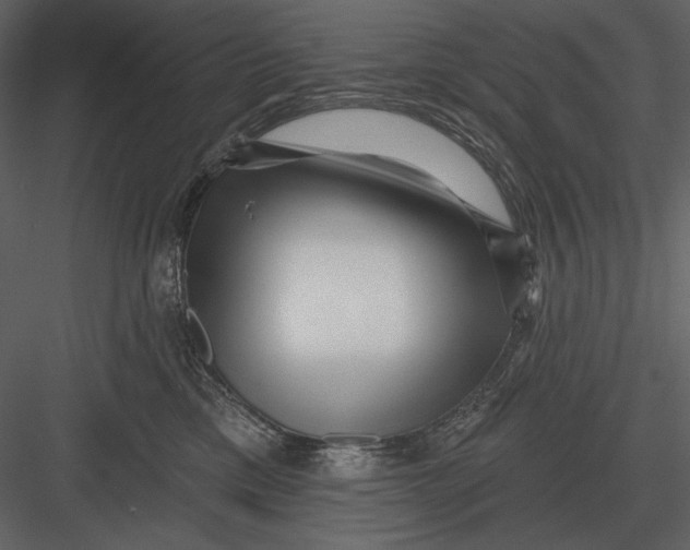 X0000082930425200702222224