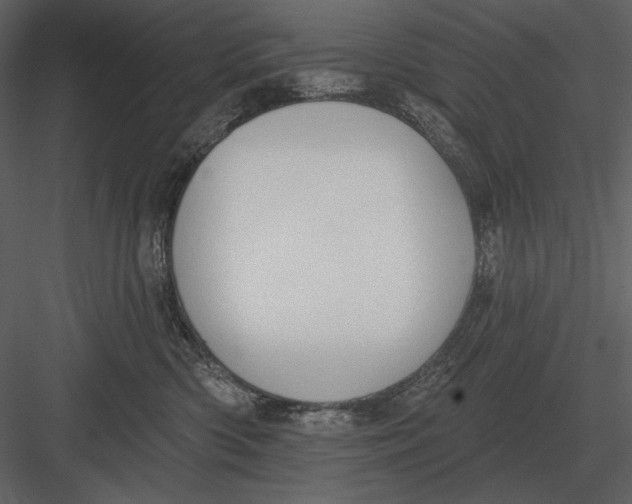 X0000082930426200702222224