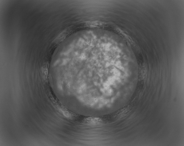 X0000082930427200702222224