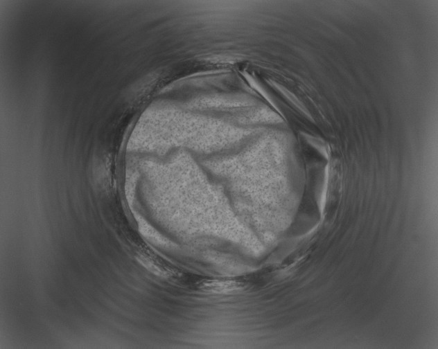 X0000082930428200702222224