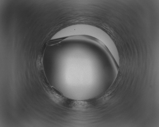 X0000082930429200702222224