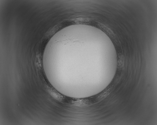 X0000082930430200702222224