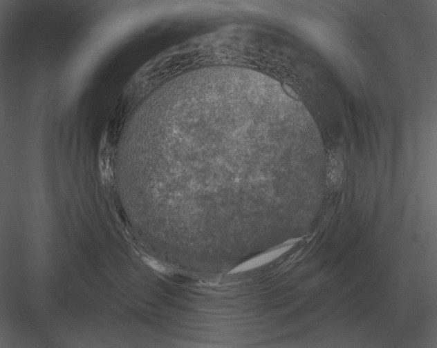 X0000082930431200702222224