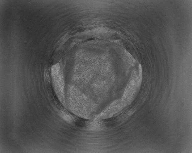 X0000082930432200702222224