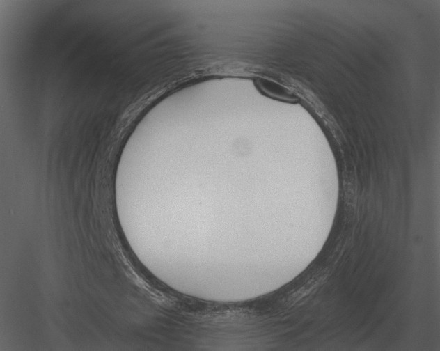 X0000082930433200702222223