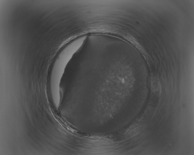 X0000082930434200702222223