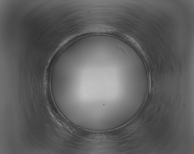 X0000082930435200702222224