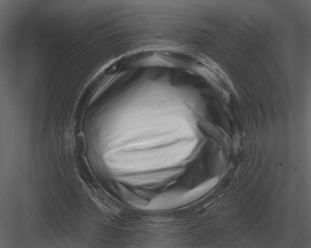 X0000082930436200702222224