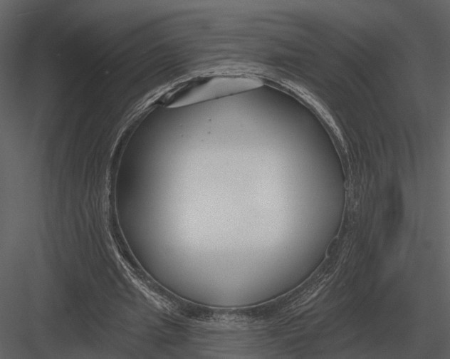 X0000082930437200702222224