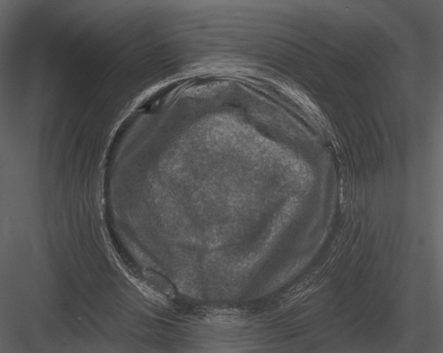 X0000082930438200702222224