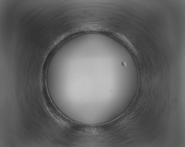 X0000082930439200702222224