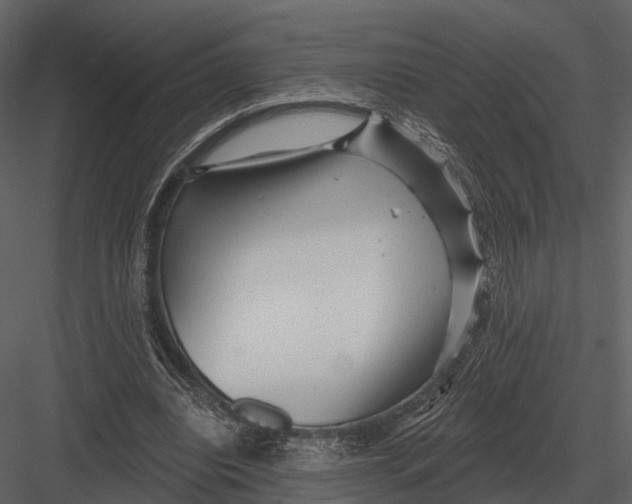 X0000082930440200702222224