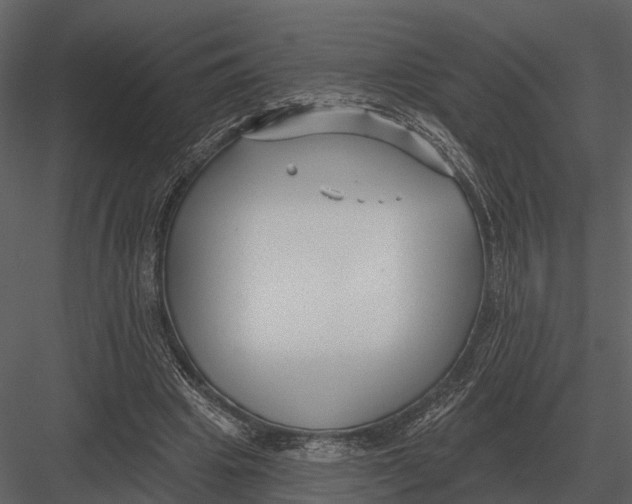 X0000082930441200702222224