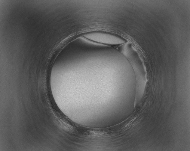 X0000082930442200702222224