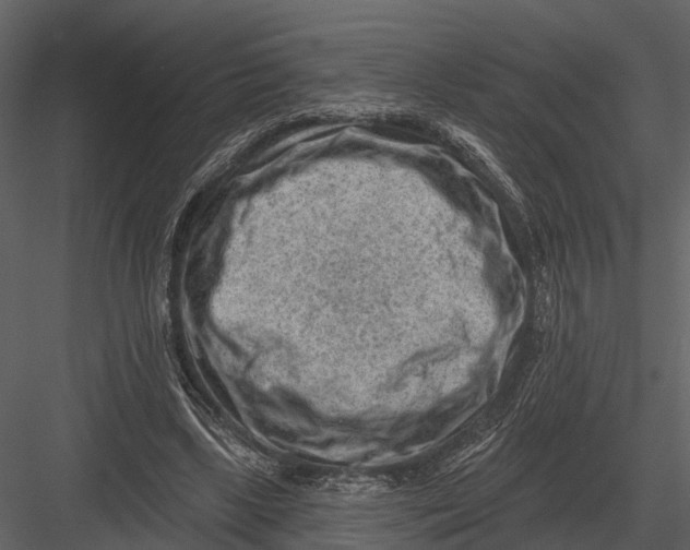 X0000082930443200702222224