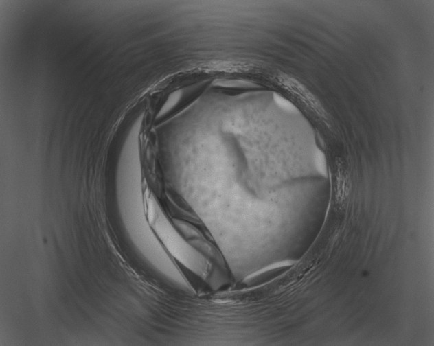 X0000082930444200702222224