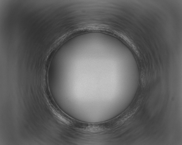 X0000082930445200702222224