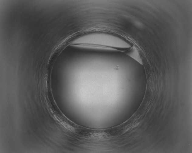 X0000082930446200702222224