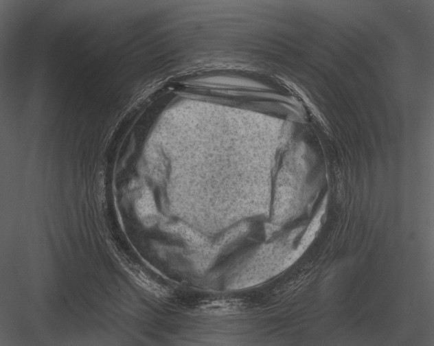 X0000082930447200702222224