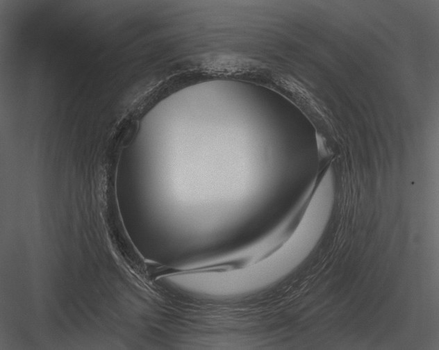 X0000082930448200702222224