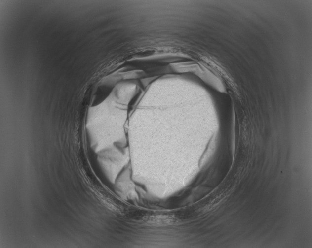 X0000082930449200702222224