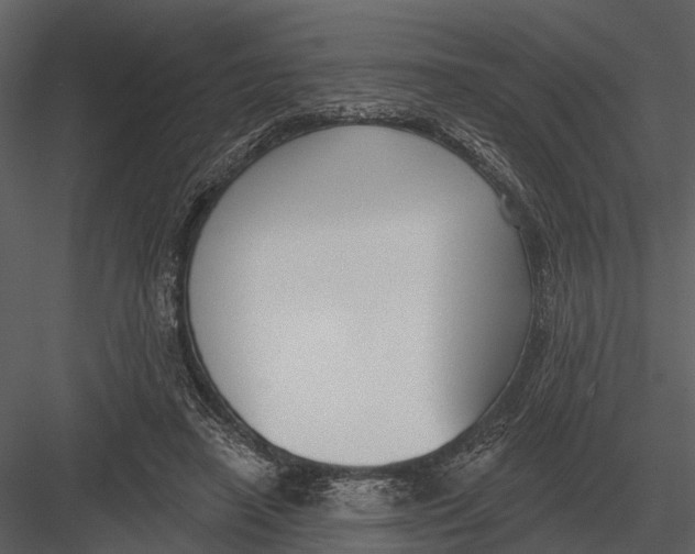 X0000082930450200702222224