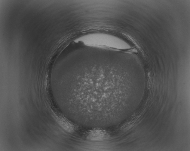 X0000082930451200702222224