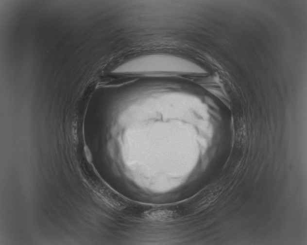 X0000082930452200702222224