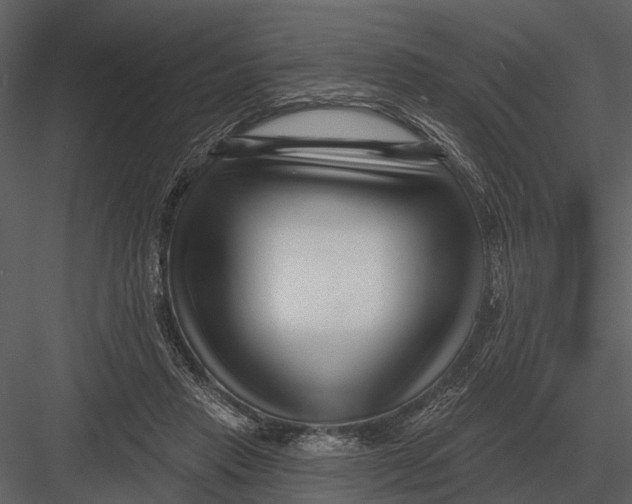 X0000082930453200702222224